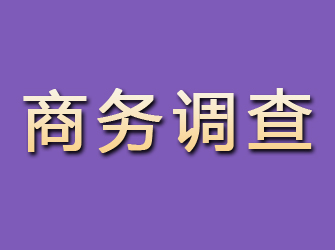 谯城商务调查